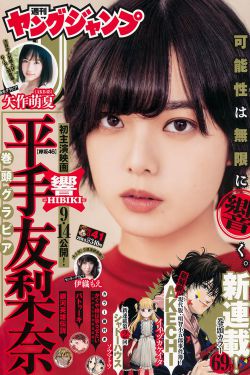 新上门女婿